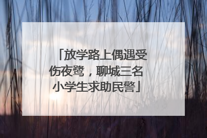 放学路上偶遇受伤夜鹭，聊城三名小学生求助民警