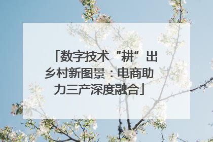 数字技术“耕”出乡村新图景：电商助力三产深度融合