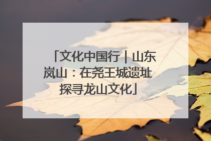 文化中国行｜山东岚山：在尧王城遗址探寻龙山文化