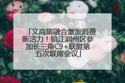 文商旅融合激发消费新活力！镇江润州区参加长三角C9+联盟第五次联席会议