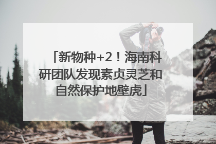 新物种+2！海南科研团队发现素贞灵芝和自然保护地壁虎