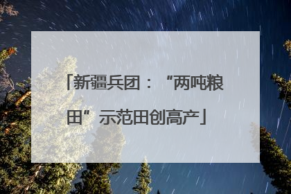 新疆兵团：“两吨粮田”示范田创高产