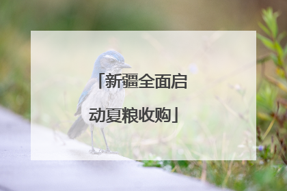 新疆全面启动夏粮收购