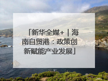 新华全媒+｜海南自贸港：政策创新赋能产业发展