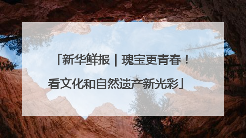 新华鲜报｜瑰宝更青春！看文化和自然遗产新光彩