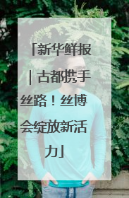 新华鲜报｜古都携手丝路！丝博会绽放新活力