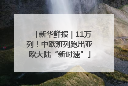 新华鲜报｜11万列！中欧班列跑出亚欧大陆“新时速”
