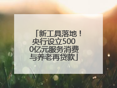 新工具落地！央行设立5000亿元服务消费与养老再贷款