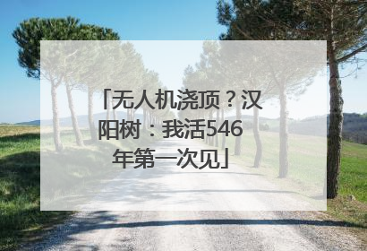 无人机浇顶？汉阳树：我活546年第一次见