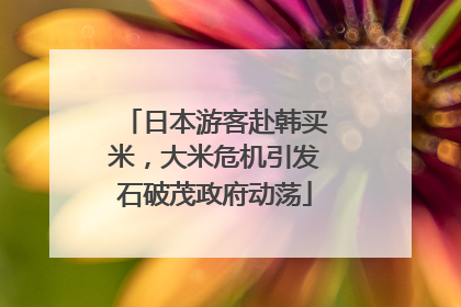 日本游客赴韩买米，大米危机引发石破茂政府动荡