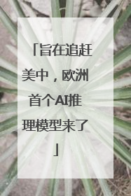 旨在追赶美中，欧洲首个AI推理模型来了