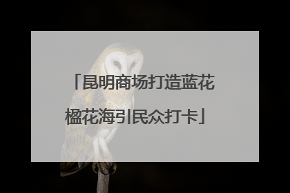 昆明商场打造蓝花楹花海引民众打卡