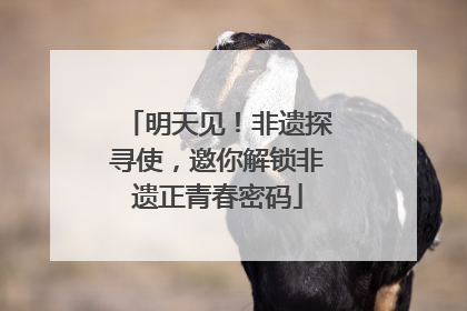 明天见！非遗探寻使，邀你解锁非遗正青春密码