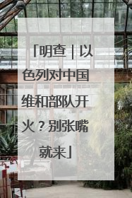 明查｜以色列对中国维和部队开火？别张嘴就来