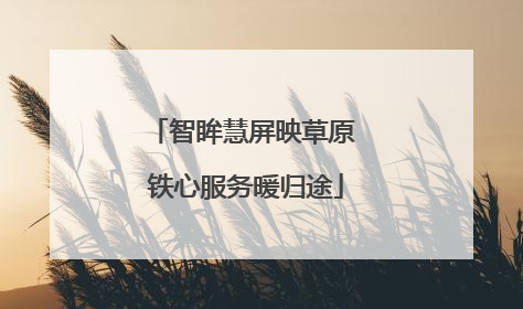 智眸慧屏映草原 铁心服务暖归途
