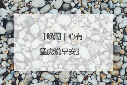 晚潮｜心有猛虎说早安