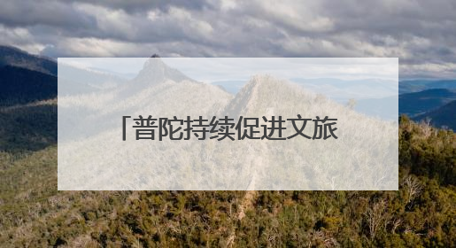 普陀持续促进文旅商体展深度融合，激活区域消费活力