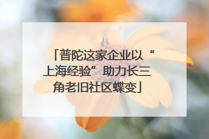 普陀这家企业以“上海经验”助力长三角老旧社区蝶变