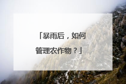 暴雨后，如何管理农作物？