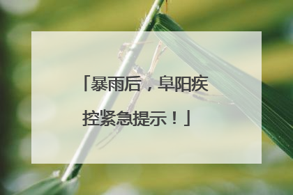 暴雨后，阜阳疾控紧急提示！