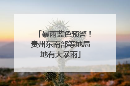 暴雨蓝色预警！贵州东南部等地局地有大暴雨