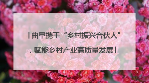 曲阜携手“乡村振兴合伙人”，赋能乡村产业高质量发展