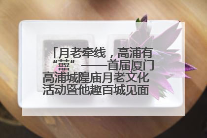月老牵线，高浦有“囍”——首届厦门高浦城隍庙月老文化活动暨他趣百城见面会隆重举办