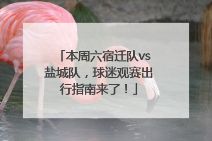 本周六宿迁队vs盐城队，球迷观赛出行指南来了！