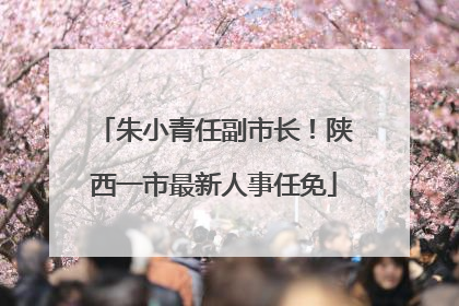 朱小青任副市长！陕西一市最新人事任免