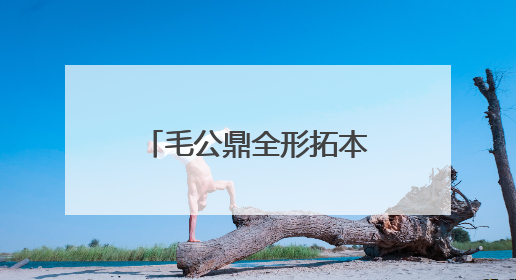 毛公鼎全形拓本首次亮相北京海淀，到三山五园邂逅金石潍坊