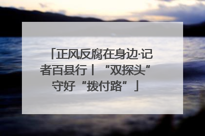 正风反腐在身边·记者百县行丨“双探头”守好“拨付路”