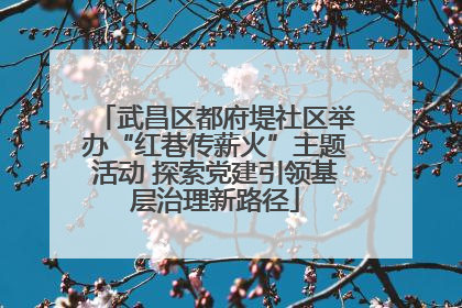 武昌区都府堤社区举办“红巷传薪火”主题活动 探索党建引领基层治理新路径