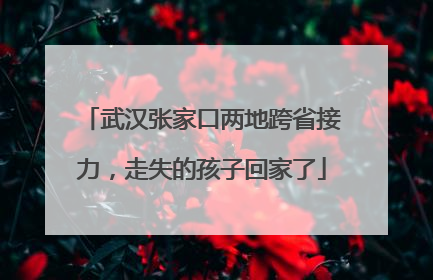 武汉张家口两地跨省接力，走失的孩子回家了