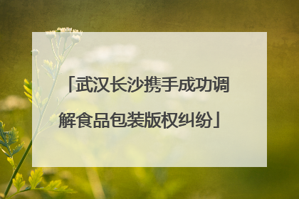 武汉长沙携手成功调解食品包装版权纠纷