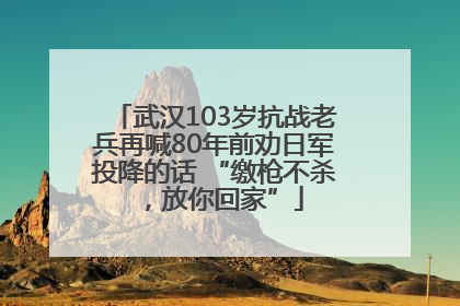 武汉103岁抗战老兵再喊80年前劝日军投降的话 “缴枪不杀，放你回家”