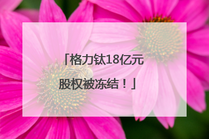 格力钛18亿元股权被冻结！