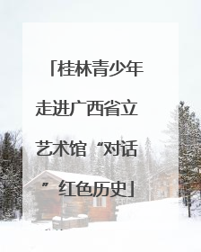 桂林青少年走进广西省立艺术馆“对话”红色历史