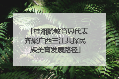 桂湘黔教育界代表齐聚广西三江共探民族美育发展路径