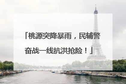桃源突降暴雨，民辅警奋战一线抗洪抢险！