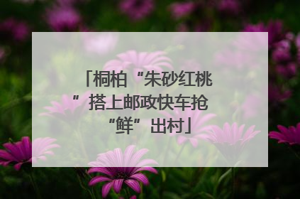桐柏“朱砂红桃”搭上邮政快车抢“鲜”出村