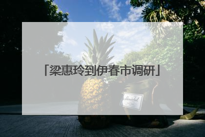 梁惠玲到伊春市调研