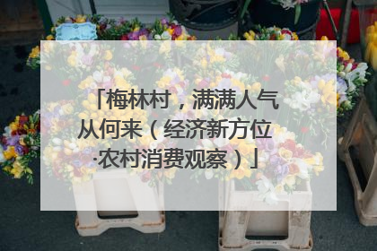 梅林村，满满人气从何来（经济新方位·农村消费观察）
