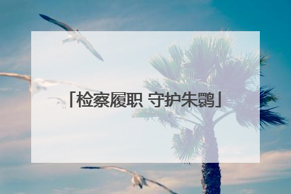 检察履职 守护朱鹮