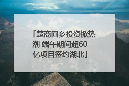 楚商回乡投资掀热潮 端午期间超60亿项目签约湖北