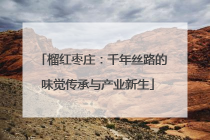 榴红枣庄：千年丝路的味觉传承与产业新生