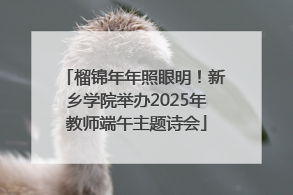 榴锦年年照眼明！新乡学院举办2025年教师端午主题诗会