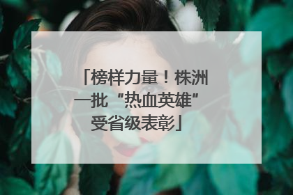 榜样力量！株洲一批“热血英雄”受省级表彰