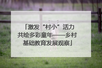 激发“村小”活力 共绘多彩童年——乡村基础教育发展观察