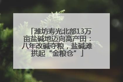 潍坊寿光北部13万亩盐碱地迈向高产田：八年改碱夺粮，盐碱滩拱起“金粮仓”