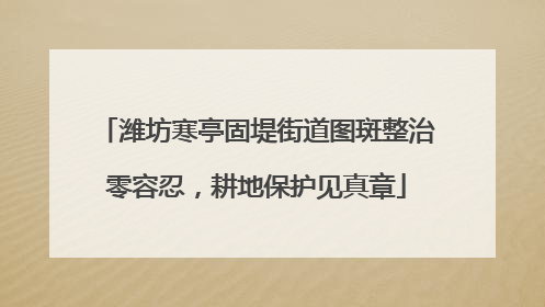 潍坊寒亭固堤街道图斑整治零容忍，耕地保护见真章